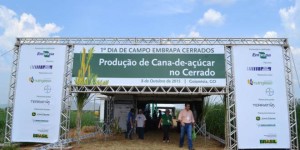 Embrapa Cerrados E Jalles Machado Realizam Dia De Campo